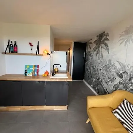 Frontline With Sea View Apartment Agde